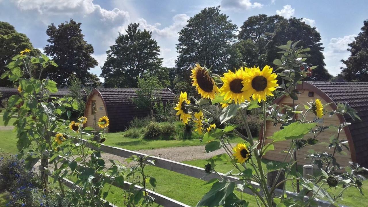 Mallow Glamping Pod Cheltenham Eksteriør bilde